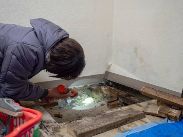 Best Residential Mold Inspection & Testing  in Lake Heritage, PA