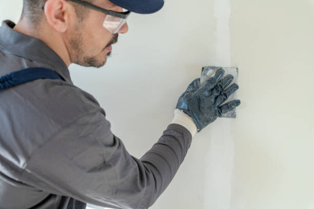 Best Mold Damage Restoration  in Lake Heritage, PA