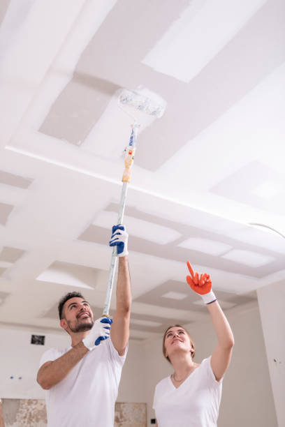 Best Mold Prevention Services  in Lake Heritage, PA