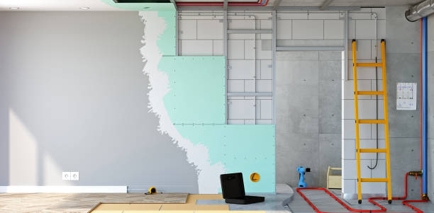 Best Attic Mold Removal  in Lake Heritage, PA