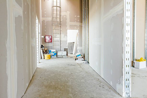 Best Mold Odor Removal Services  in Lake Heritage, PA